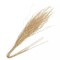 Gold 4 Metallic 39" Artificial Long Stem Twigs Bendable Willow Sprays Events